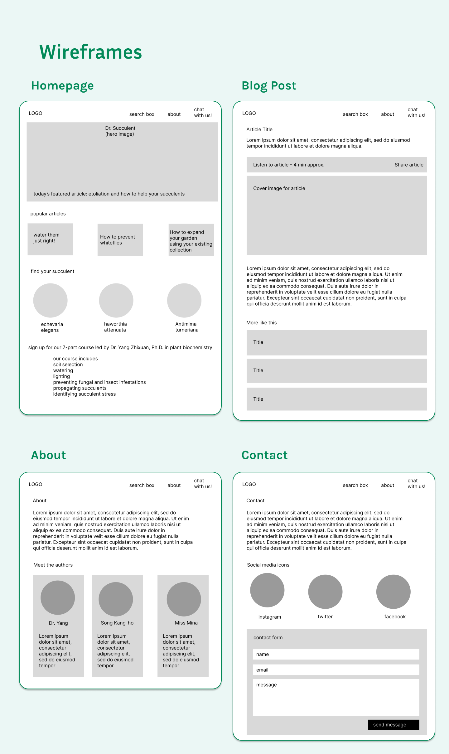 Wireframes of Dr. Succulent